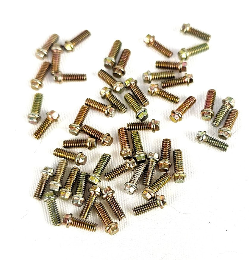 ERC Replacement Bead Lock Screws (50)