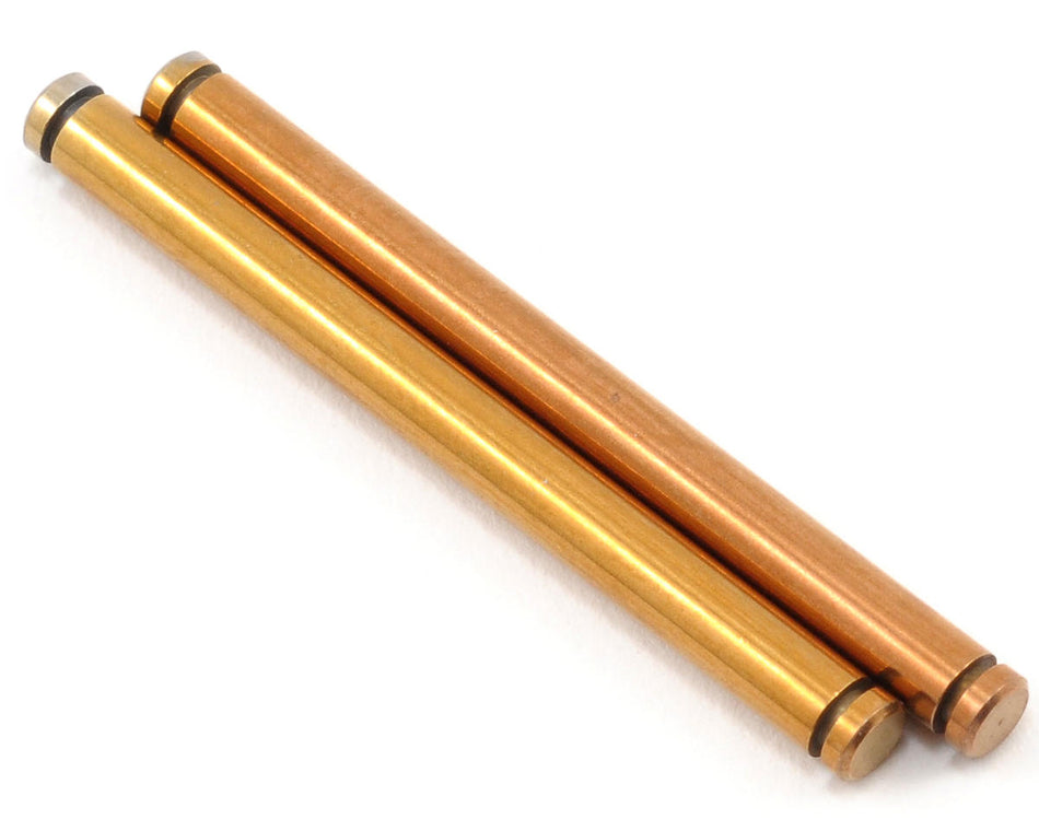 TLR Rear Outer Hingepin (2) 22